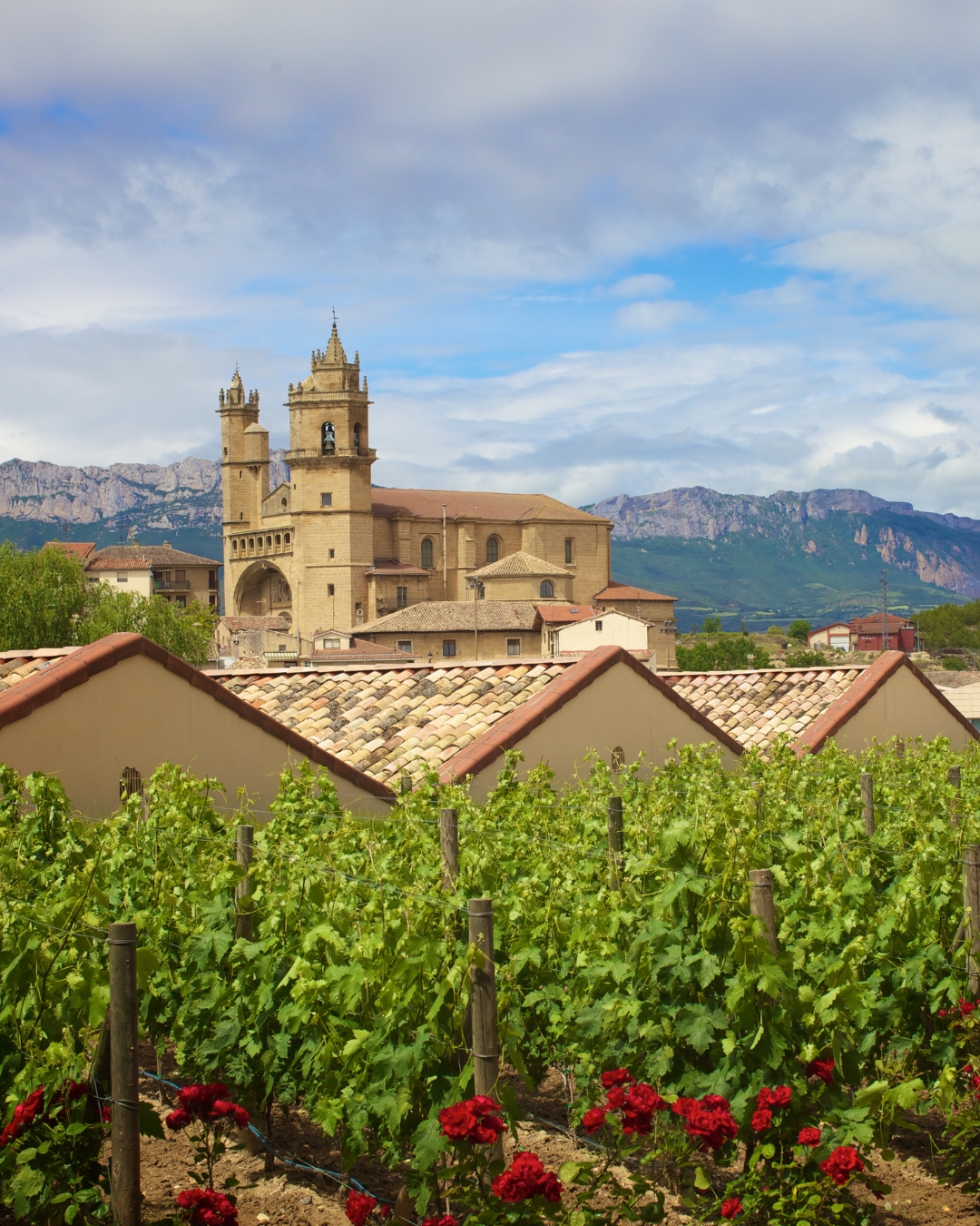 winery